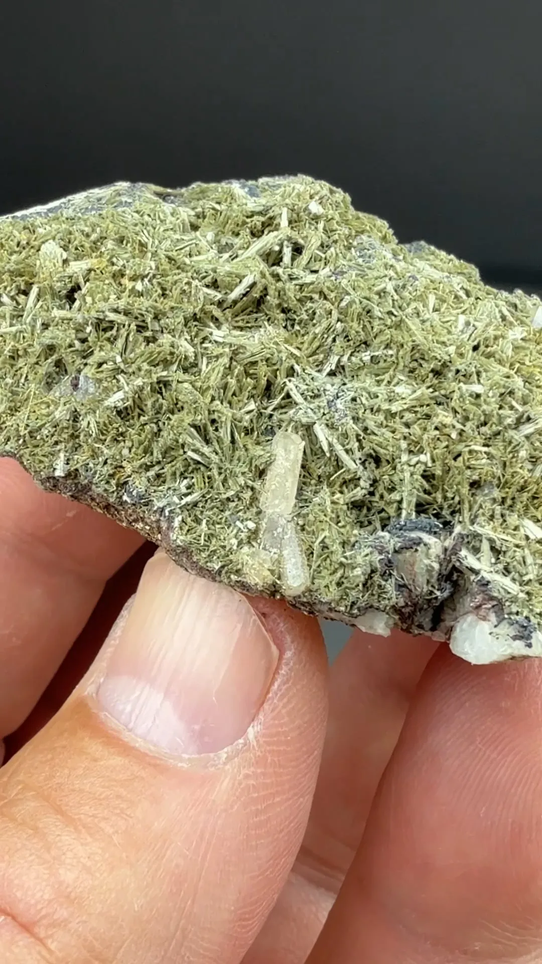 Clinozoisite with Fluorapatite (2260) - image 2