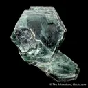 Clintonite - image 1