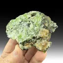 Clintonite (var. Valuevite) with Perovskite - image 1