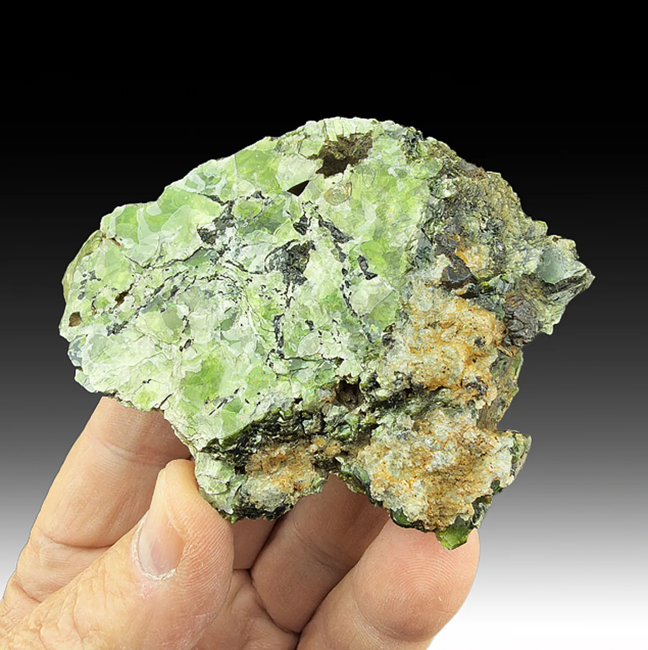 Clintonite (var. Valuevite) with Perovskite - image 1