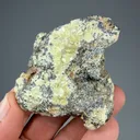 Clintonite with Magnetite - image 2