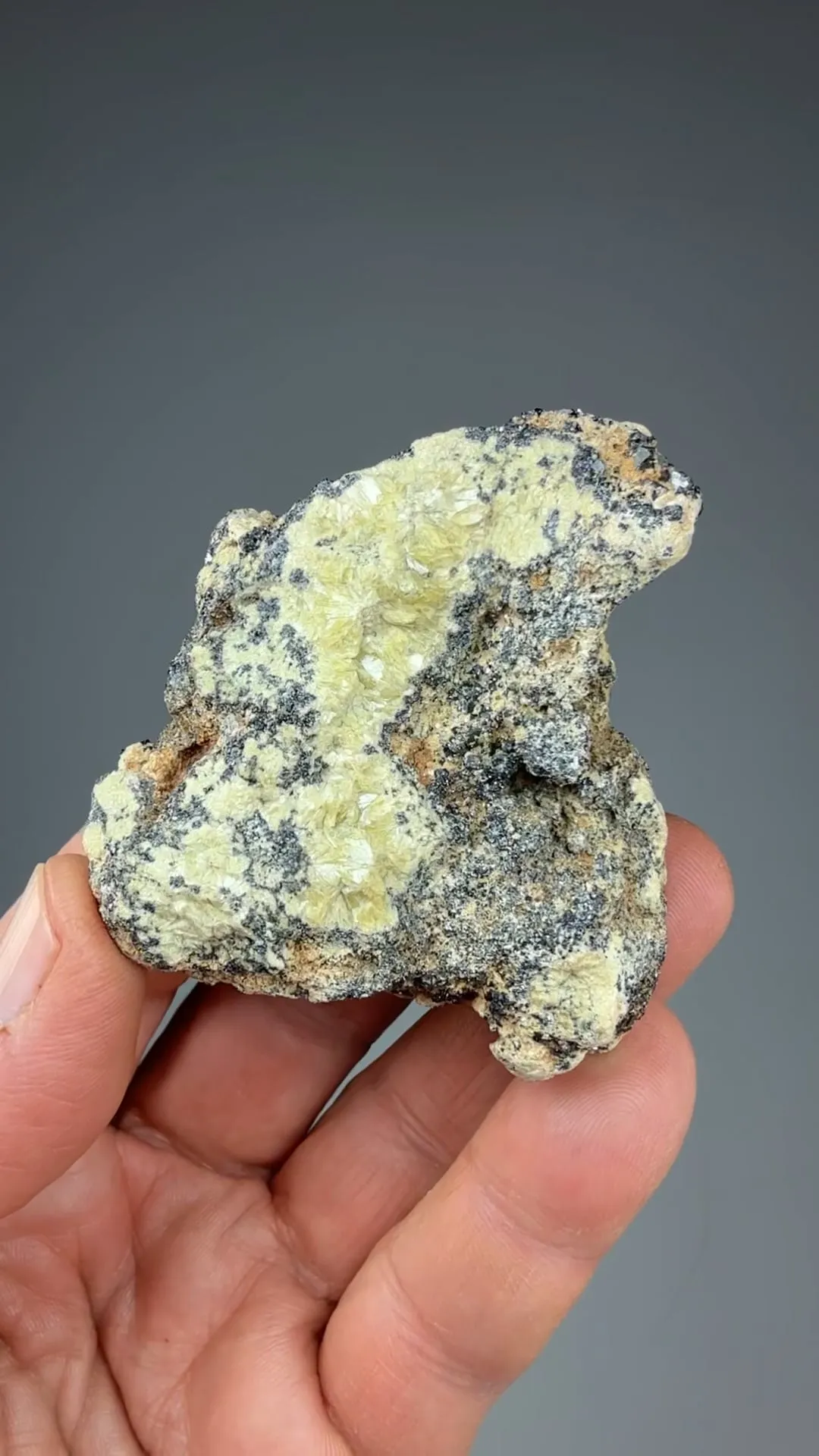 Clintonite with Magnetite - image 2