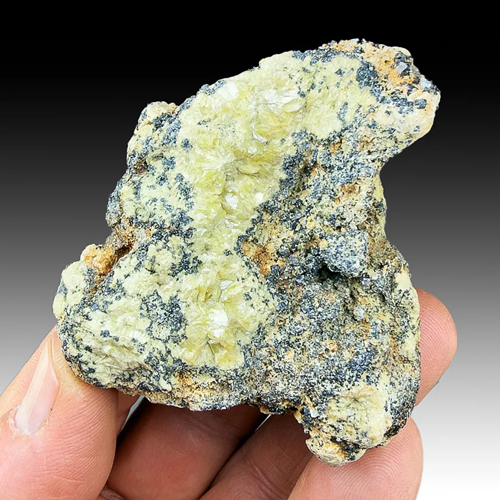 Clintonite with Magnetite image