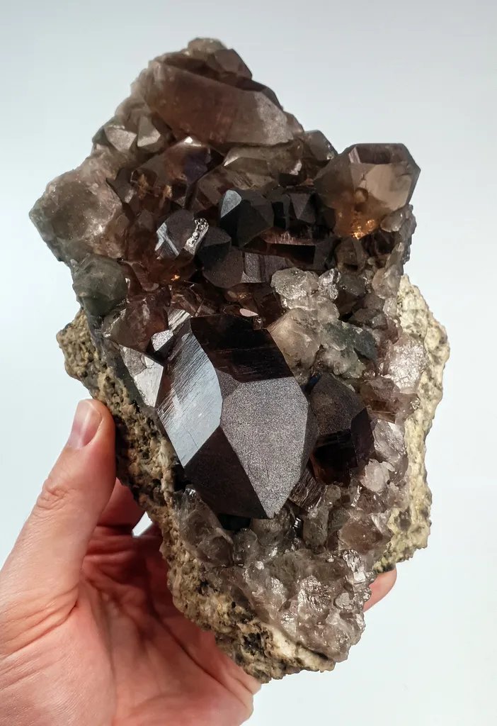 Closed Gwindel Smoky Quartz - Mont-Blanc, France - image 9