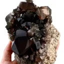specimen video