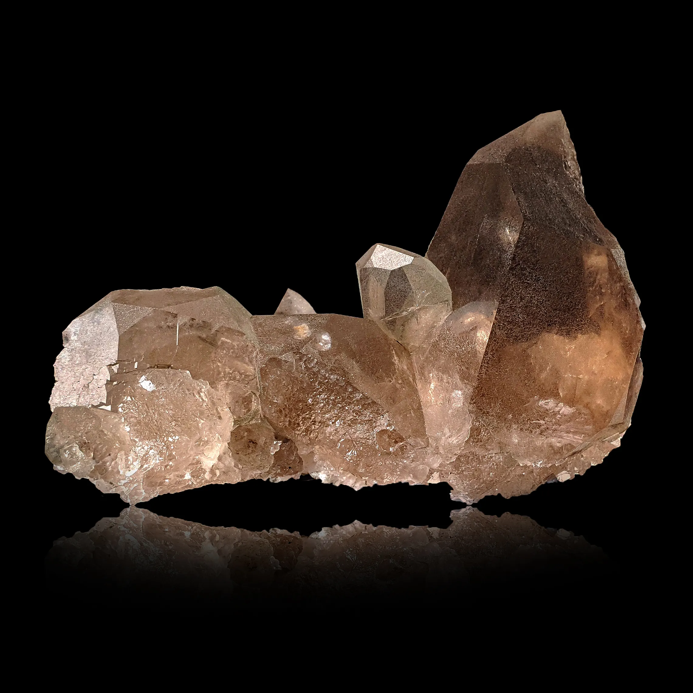 Closed Gwindel "Sucre" - image 4