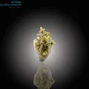 Clustered Tourmaline Bunch on Feldspar - image 1