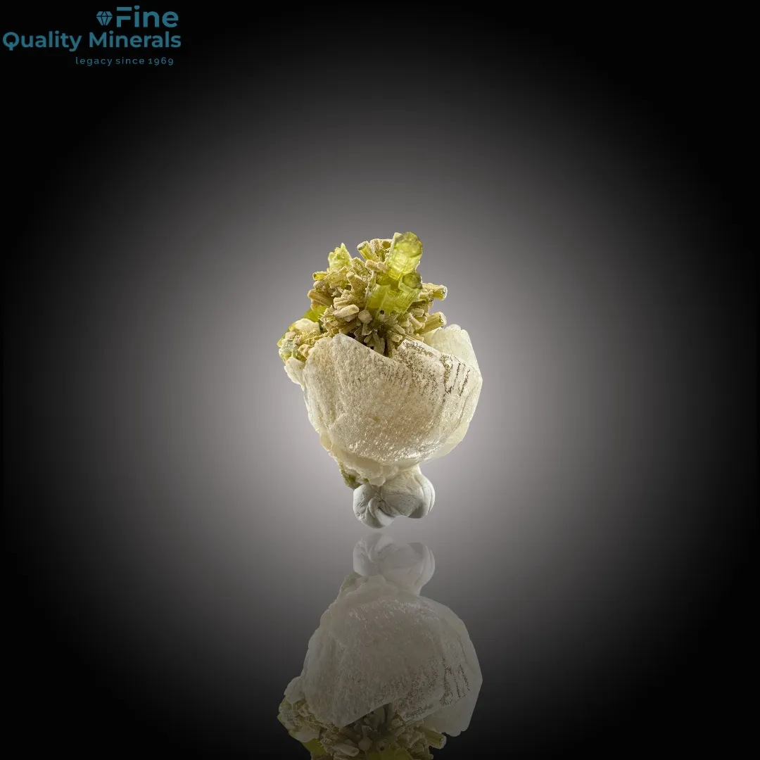 Clustered Tourmaline Bunch on Feldspar - image 3