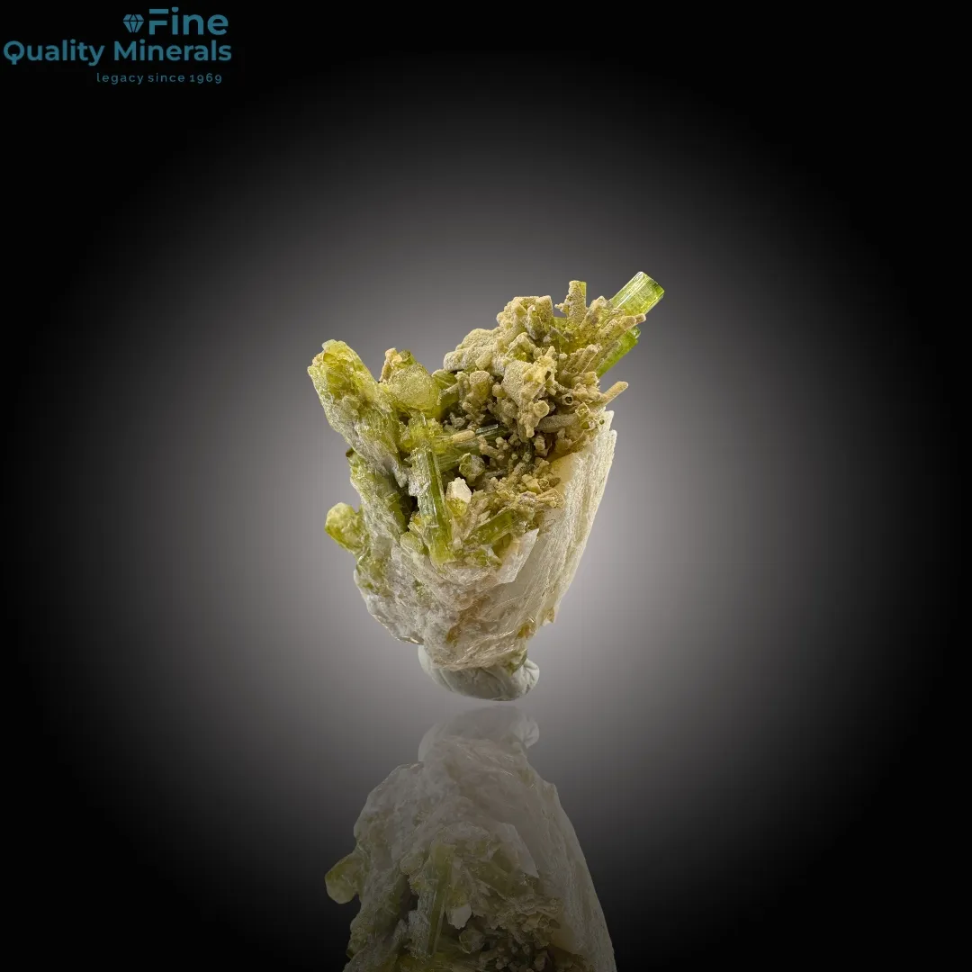 Clustered Tourmaline Bunch on Feldspar - image 2