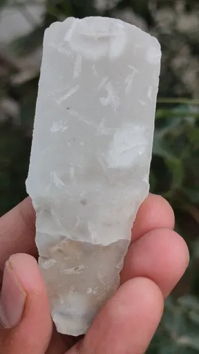 specimen video