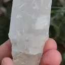 specimen video