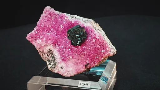 specimen video