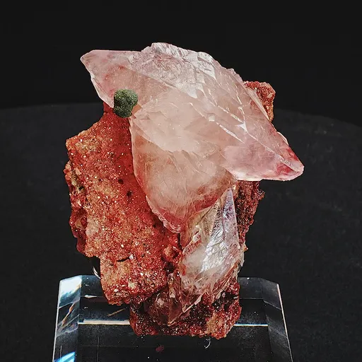 specimen video