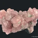 Cobaltian Smithsonite - image 5