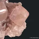 Cobaltian Smithsonite - image 4