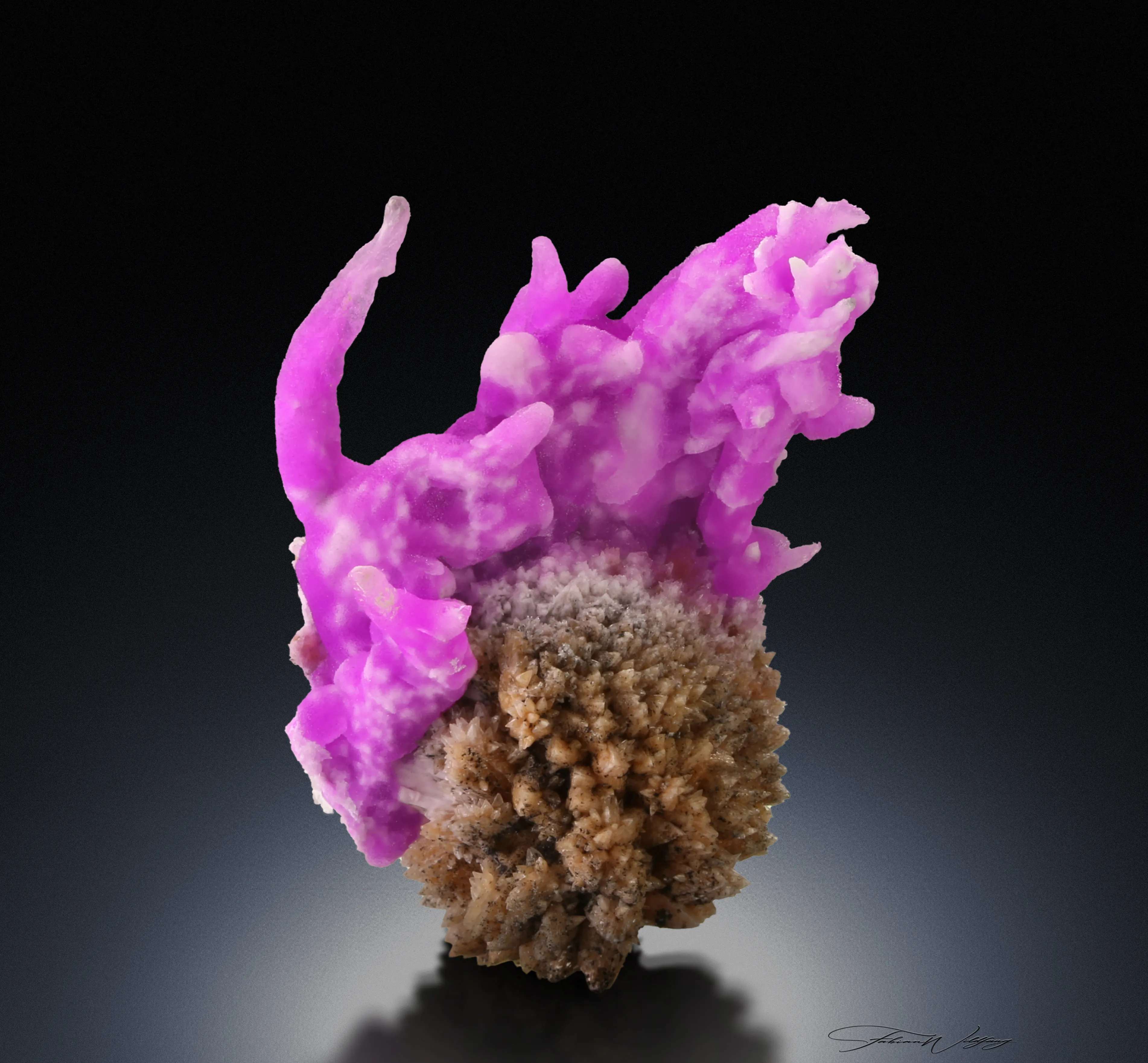 Cobaltoan Aragonite on Calcite - image 1