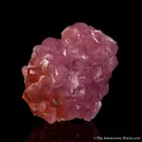 Cobaltoan Calcite - image 1
