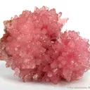 Cobaltoan Calcite - image 1