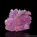Cobaltoan Calcite - image 1