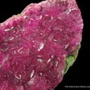 Cobaltoan Calcite (intense color and glassy luster) - image 5