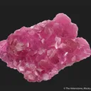 Cobaltoan Calcite on Calcite - image 1