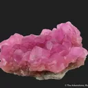 Cobaltoan Calcite on Calcite - image 1