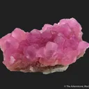 Cobaltoan Calcite on Calcite - image 5