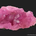 Cobaltoan Calcite on Calcite - image 3