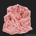 Cobaltoan Dolomite cast after Calcite - image 5