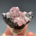 Cobaltoan Smithsonite on Sphalerite - image 1