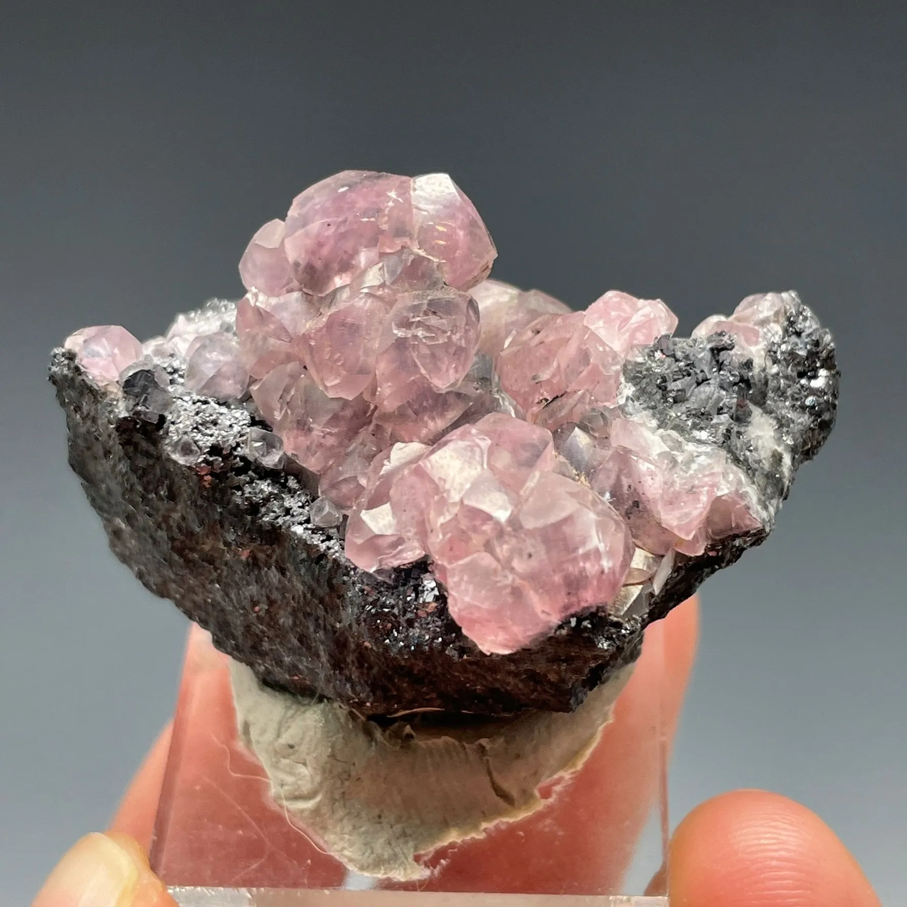 Cobaltoan Smithsonite on Sphalerite - image 1