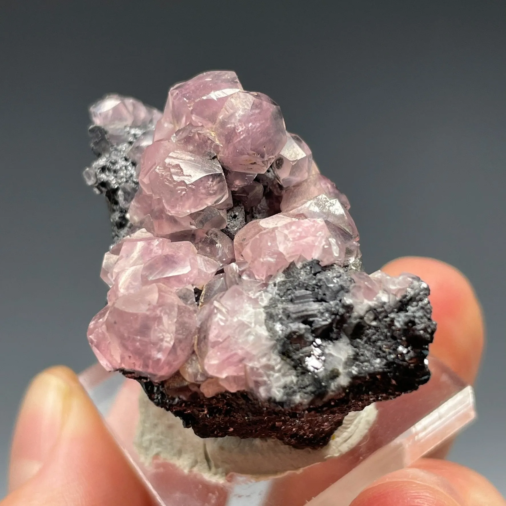 Cobaltoan Smithsonite on Sphalerite - image 4