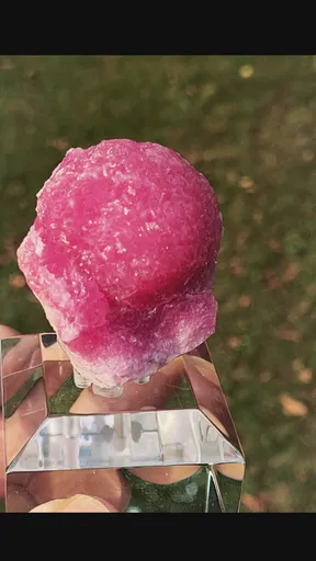 specimen video