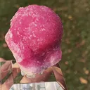 specimen video