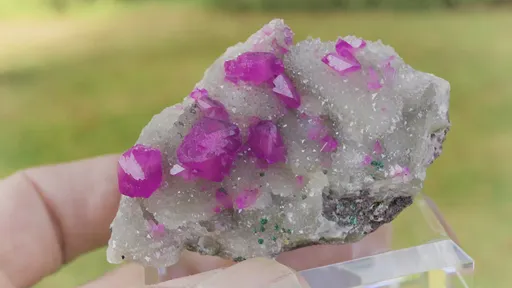 specimen video