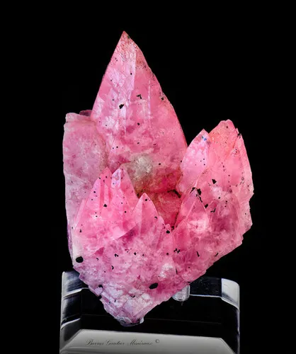 Cobaltocalcite image