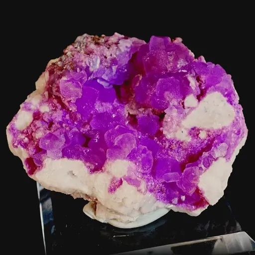 specimen video