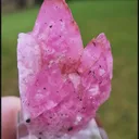 specimen video