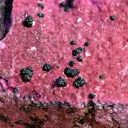 Cobaltocalcite & Heterogenite - 301 grams - Mashamba West Mine, Kolwezi mining district, DR Congo - image 3