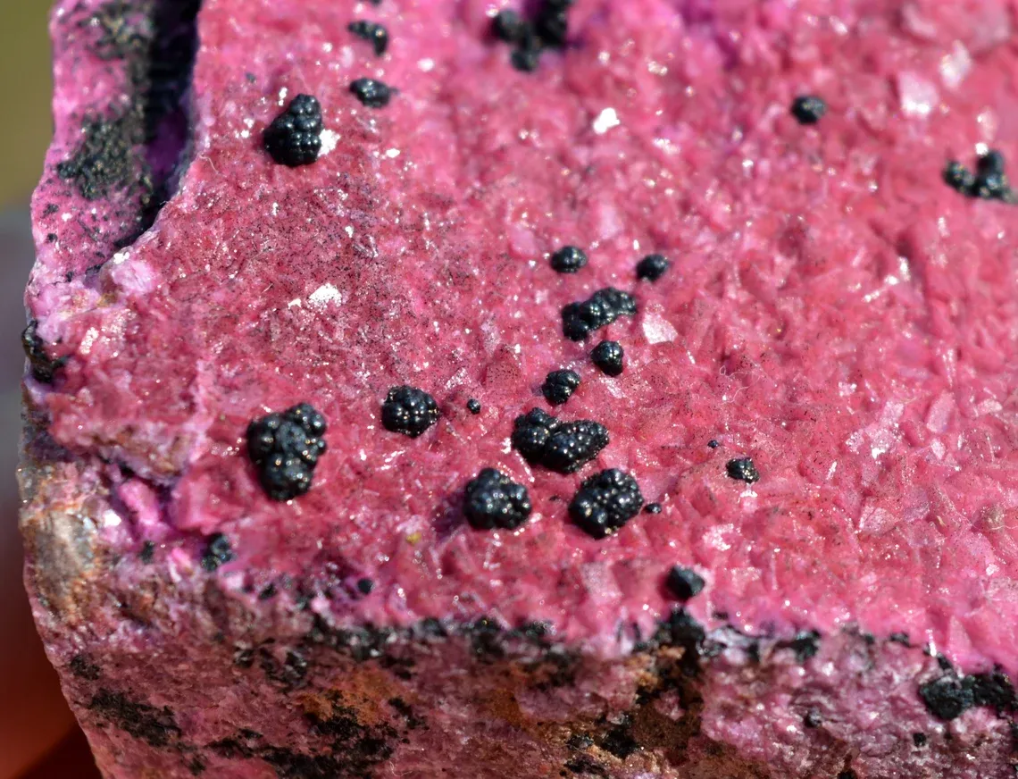 Cobaltocalcite & Heterogenite - 301 grams - Mashamba West Mine, Kolwezi mining district, DR Congo - image 3