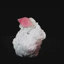 specimen video
