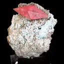 Cobaltocalcite on Plancheite - image 1