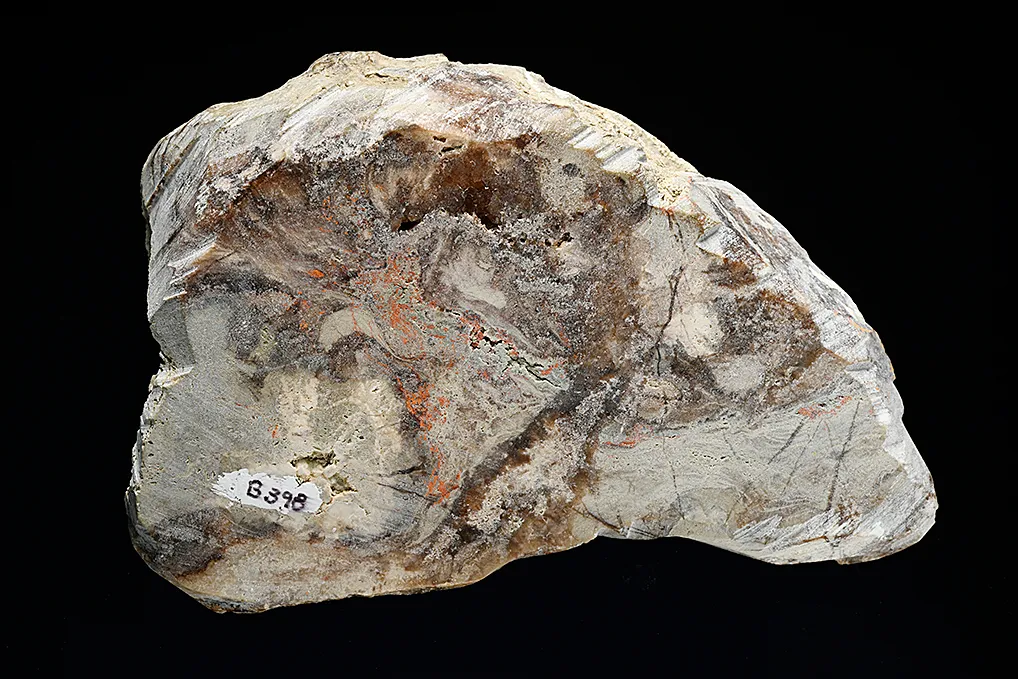 Colemanite - image 3