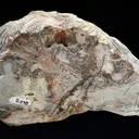 Colemanite - image 3