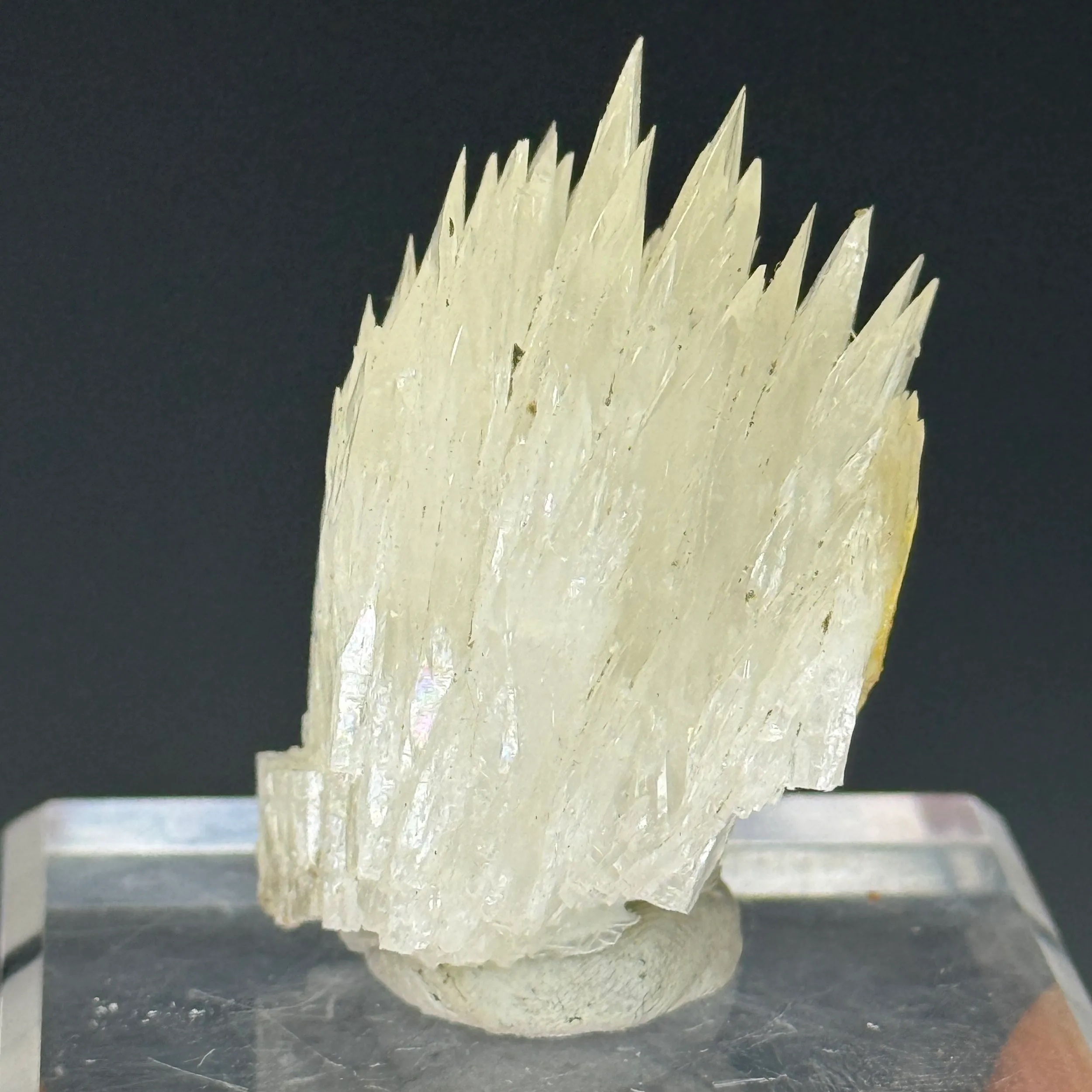 Colemanite - image 3