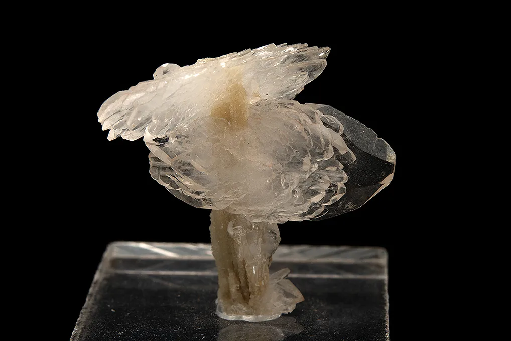 Colemanite - image 2