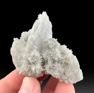 Colemanite
