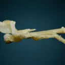 Colemanite after INYOITE - image 3