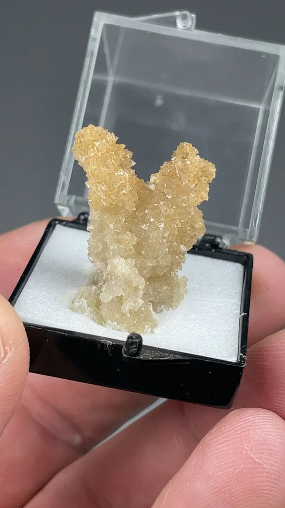 Colemanite after Meyerhofferite - image 2