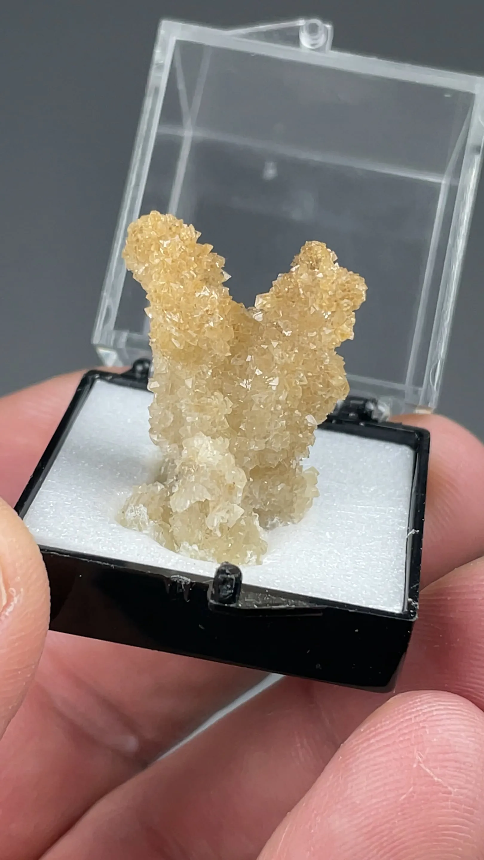 Colemanite after Meyerhofferite - image 2